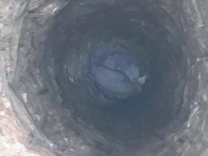 Kullanılmayan su kuyusuna düşen koçu itfaiye kurtardı