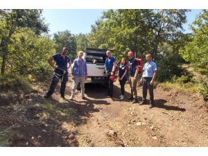 Mahsur kalan köpeği böyle kurtardılar