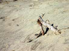 Akgöl 10 yıl sonra Akçöl oldu