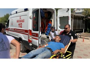 Yılanın soktuğu kişi hastaneye kaldırıldı