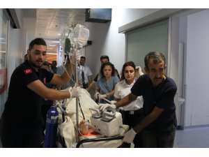 GÜNCELLEME - Önce karısını sonra kendini vurdu