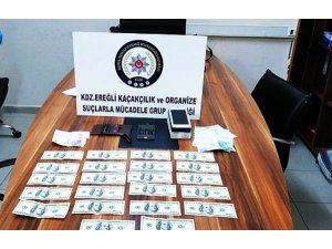 Piyasaya sahte dolar süren zanlılara gözaltı