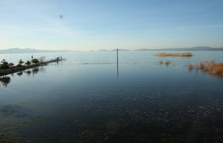 Beyşehir gölü eski günlerine kavuşuyor