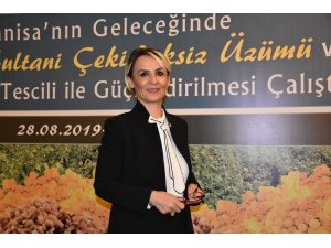 Manisa Çekirdeksiz Sultani Üzümü, AB tescili yolunda