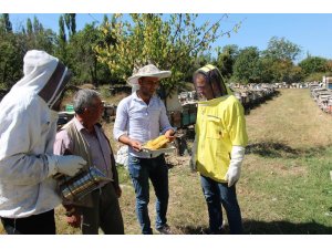 Kaymakam Pişkin, “Verimi yüksek olan arıcılığı ilçemizde geliştirmeliyiz”