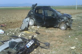 Domuz sürüsü kazaya neden oldu