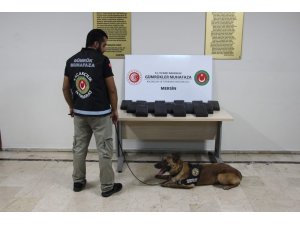 Mersin Limanı’nda 23 kilo 745 gram kokain ele geçirildi