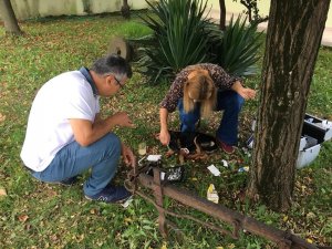 Otomobil çarpan köpeğe veterinerden ilk müdahale