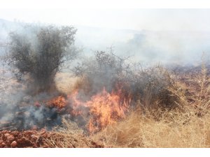 Adıyaman’da, orman yangını korkuttu