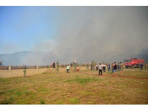 Çanakkale'de orman yangını