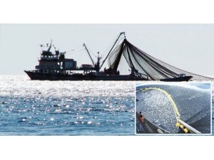 Denizlerde av yasağı sona eriyor