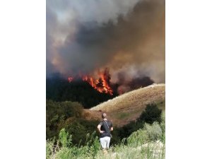 Yangında hastalar tahliye ediliyor