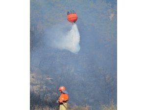 GÜNCELLEME - Çanakkale'de orman yangını
