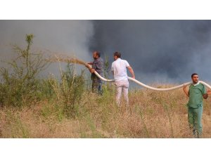Çanakkale’deki yangın kontrol altına alındı