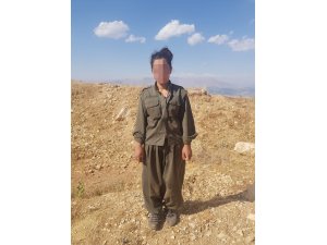 "Kıran-2 Operasyonu" sayesinde teslim oldular