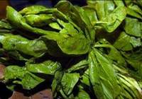 Bu besinler kalbi koruyor