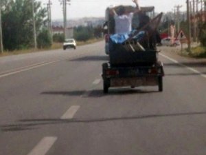 Üç tekerlekli motosiklette oynayarak yolculuk yaptılar