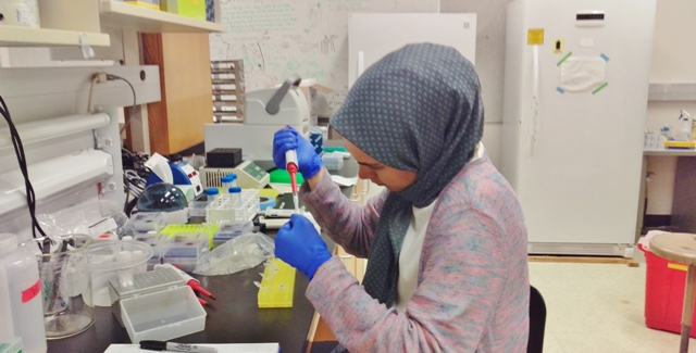 KGTÜ öğrencileri yurtdışında