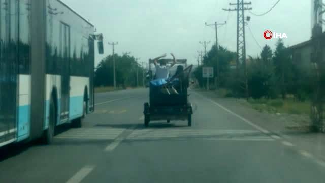 Seyir halindeki motosikletin üstünde oynayarak böyle yolculuk yaptılar