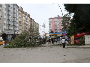 Elazığ'da sağanak ve fırtına etkili oldu