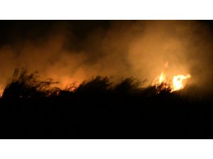 Hatay’da sazlık alanda yangın