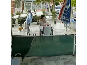 Kediye tekme atan kadın güvenlik kamerasına yakalandı