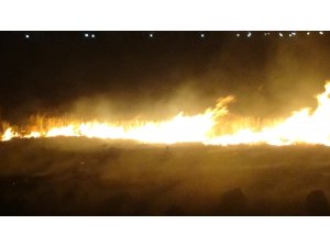 Diyarbakır’da anız yangını