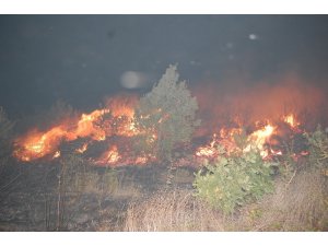 Tekirdağ’da korkutan yangın: Yüzlerce çam alev alev yandı