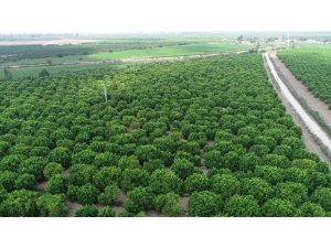 TARSİM’den çiftçilere 5,4 milyar TL ödeme