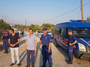 Germencik’te jandarma incir nöbetine başladı