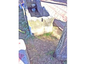 Tarihi lahidin içinde yemek pişirilmesine tepki