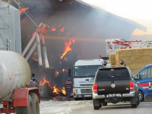 GÜNCELLEME - Kırklareli'nde hayvan çiftliğinde yangın