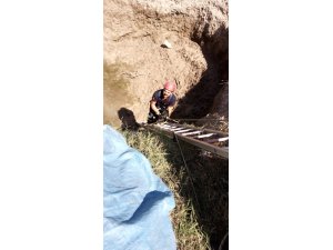 Kuyuya düşen köpeği itfaiye kurtardı