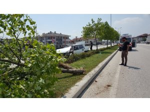 Refüje çıkan otomobil ağaca çarptı: 1 çocuk yaralı