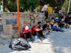 Çanakkale'de 50 düzensiz göçmen yakalandı