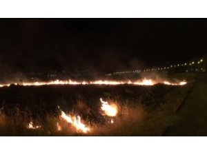 Yol kenarında çıkan yangın, fıstık bahçesine sıçramadan söndürüldü