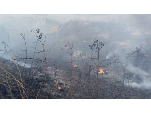 Lastik yakarken yangın çıkardılar