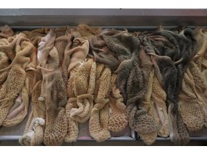 Talep arttı sakatat bulmak zorlaştı