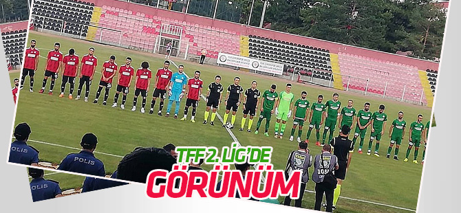 TFF 2. Lig'de görünüm