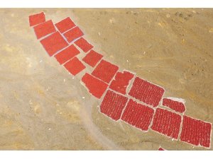 Dondurma şehrinde acı telaş