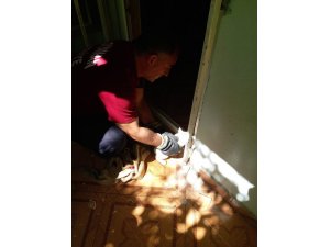 Ayağı demir ile duvar arasına sıkışan kedi kurtarıldı