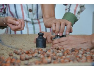 Fındıkta nem oranına dikkat