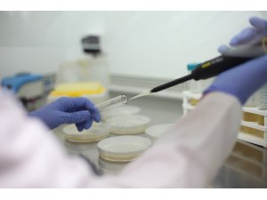 PAÜ’nün 4 projesi birden TÜBİTAK tarafından destek aldı