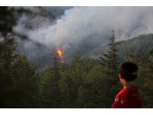 Kaş’taki yangını söndürme çalışmaları devam ediyor