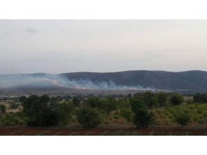 Denizli’de anız yangınında 60 hektar alan zarar gördü