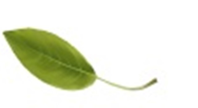 Konya’nın iklimlendirme sanayi ihracatı 150 milyon dolara ulaşacak