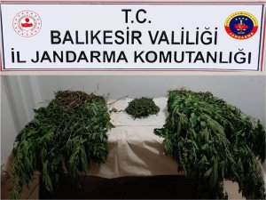 Balıkesir’de jandarmadan uyuşturucu operasyonu