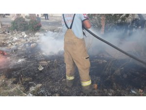 Burhaniye’de ot yangınlarında ağaçlar zarar gördü