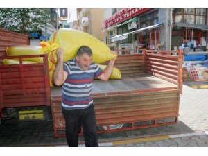 Fındık fiyatı düşüşünü sürdürüyor