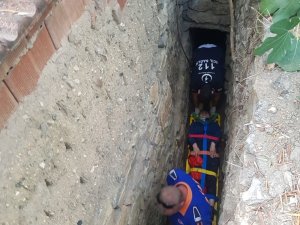 İncir toplayayım derken az kalsın canından olacaktı